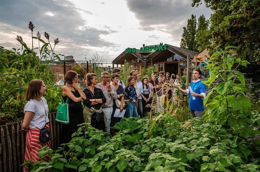 Dakwandeling op de PAKT dakboerderij