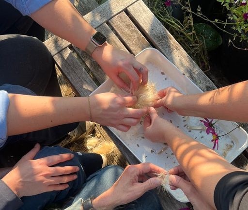 EXPERIENCE - unieke workshops op de PAKT dakboerderij